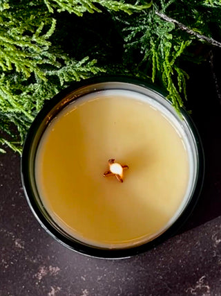 X wood wick candle burning in a dark green container with a green leafy background