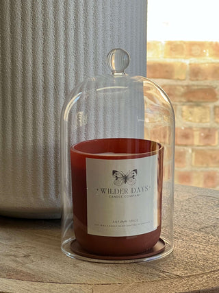 Premium Glass Cloche - Candle Holder - Wilder Days Candle Company