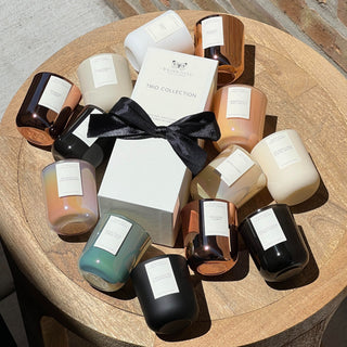 TRIO COLLECTION - Soy Candle Gift Set - Wilder Days Candle Company